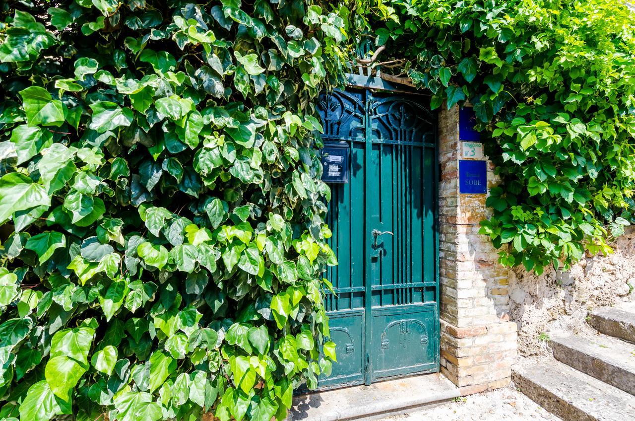 Guest House Ivana Ντουμπρόβνικ Εξωτερικό φωτογραφία