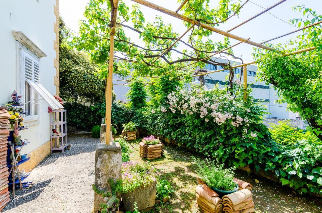 Guest House Ivana Ντουμπρόβνικ Εξωτερικό φωτογραφία